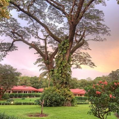 Hacienda Guachipelin