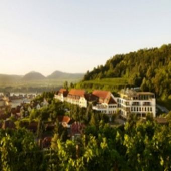The Steigenberger Hotel and Spa, Krems