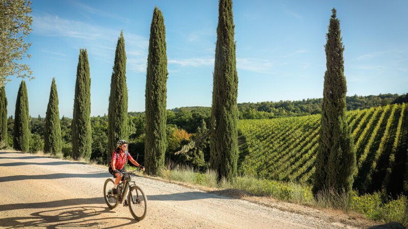 Cycling Activity Levels