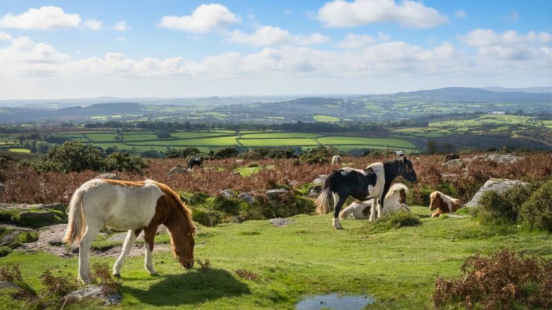 Walking the West Devon Way