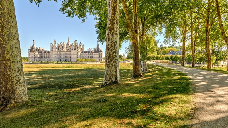A stroll through the Loire Valley: Châteaux, Vineyards & Villages
