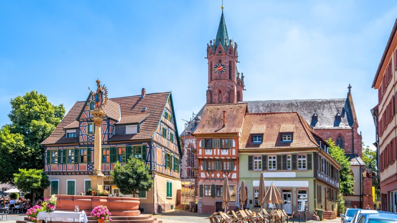 Cycling the Scenic Rhine: Strasbourg to Mainz