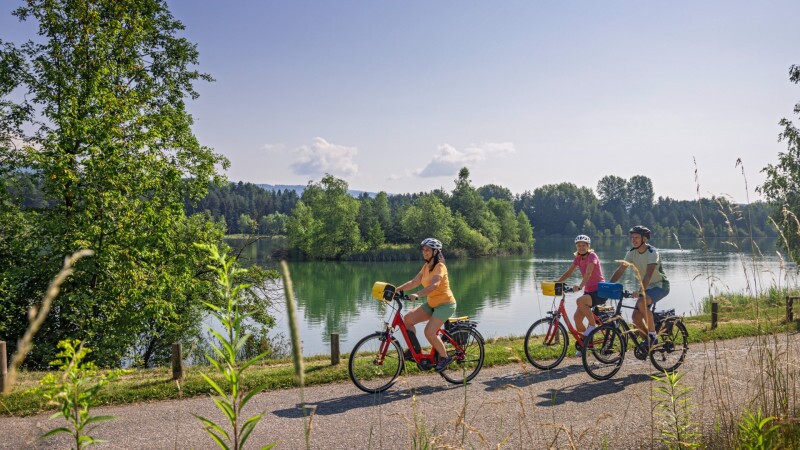 Cycling the Scenic Rhine: Strasbourg to Mainz