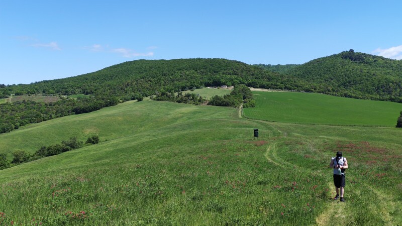 Treasures of Tuscany Walk: San Gimignano to Volterra 