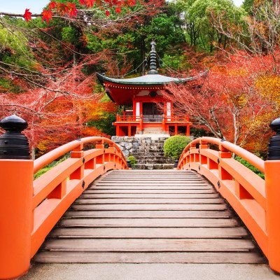 SPRING & AUTUMN IN JAPAN