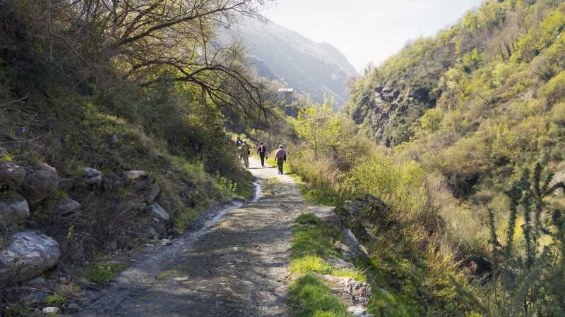 Andalucia: Walking the Alpujarras & Granada