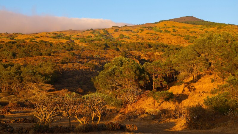 Walking in El Hierro