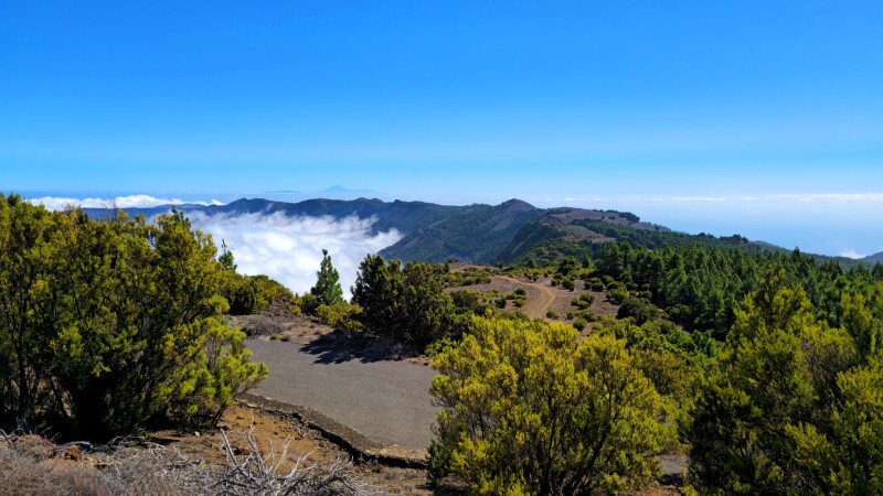 Walking in El Hierro