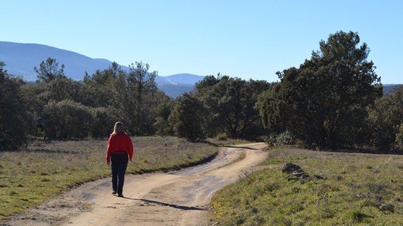 Walking in Central Spain: Segovia, Sepúlveda and National Parks