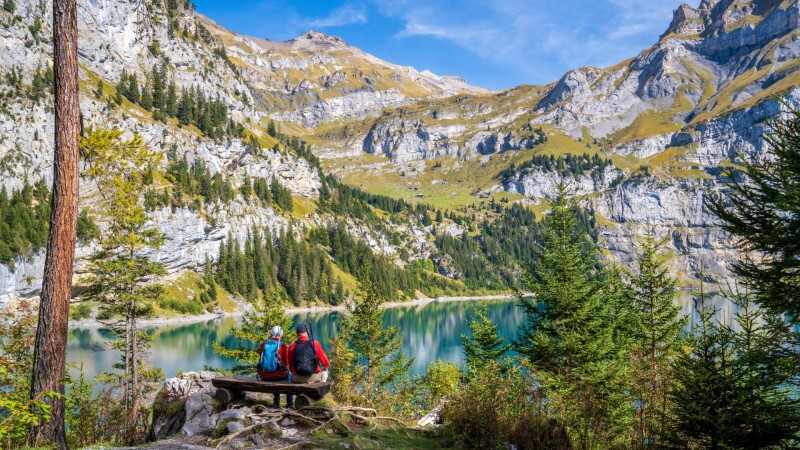 Classic Swiss Alps Walk